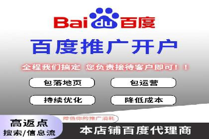 百度SEM广告策略在电商行业的成功案例